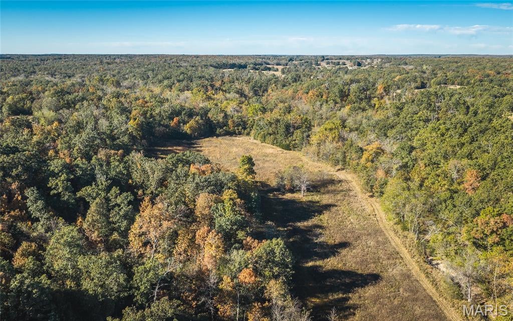 Photo of 18128 County Road 7520, Newburg, MO 65550 (MLS # 26068157)