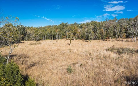 Tiny photo for 18128 County Road 7520, Newburg, MO 65550 (MLS # 26068157)