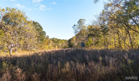 Tiny photo for 18128 County Road 7520, Newburg, MO 65550 (MLS # 26068157)