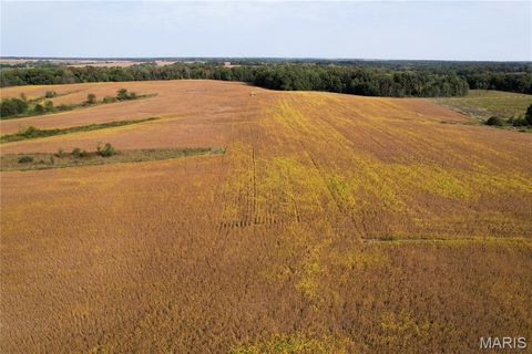Tiny photo for 0 Airline Street, Hurdland, MO 63547 (MLS # 25067133)
