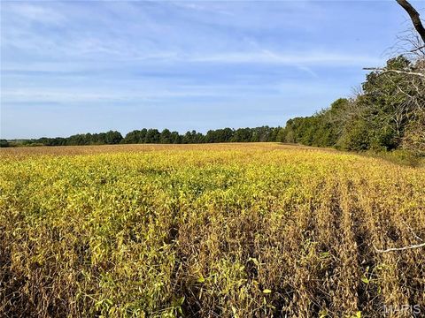 Tiny photo for 0 Airline Street, Hurdland, MO 63547 (MLS # 25067133)