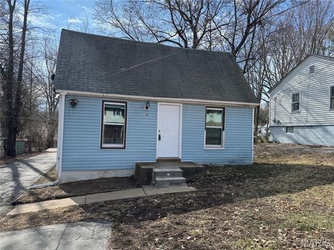 Photo of 20 Connolly Drive, Calverton Park, MO 63135 (MLS # 26011049)