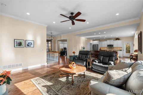 Tiny photo for 1219 Wooded Fork Drive, Wildwood, MO 63005 (MLS # 25079796)