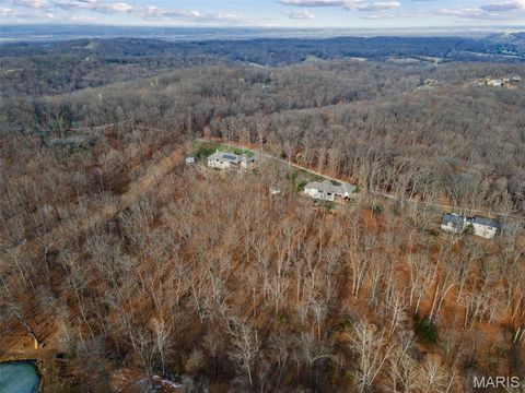 Tiny photo for 1219 Wooded Fork Drive, Wildwood, MO 63005 (MLS # 25079796)
