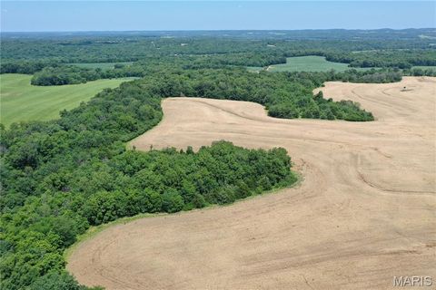 Tiny photo for 0 Pike 107, Frankford, MO 63441 (MLS # 25055946)