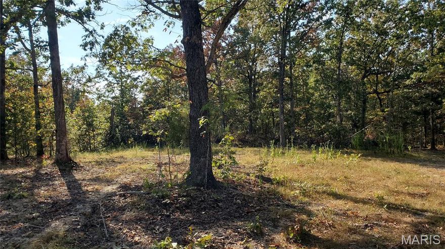 Call to schedule your private showing today! Gravel easement access but still secluded. This 80-acre parcel offers a mix of plentiful White, red oak, and other hardwoods with some black walnuts mixed in. Multiple build site locations. Some marketable timber. Timber Appraisal Summary and Topography maps available upon request. Excellent cover for often seen deer and turkey. Multiple locations to add a food plot to help draw in the wildlife. It is conveniently located between Salem, Rolla & Licking. Within an hour of Ft. Leonard Wood, Current River, Jack’s fork, Piney River, Meramec River, Montauk State Park & Boiling Springs. Do not hesitate to call and view this 80 Acres. Trails throughout with 2 wet-weather creeks running through and one with an active spring. A hard-to-find timber property that hasn't been harvested in some way and left unusable or enjoyable. Thousands of acres of Mark Twain Forest close by. Hunting and fishing at its best. Bring your guns and fishing gear and you are ready to enjoy it all. This won't last long at this price, Make an appointment to view this special property, enjoy exploring the wonders of it all.  Check out the springs, rock formations, and bluffs.