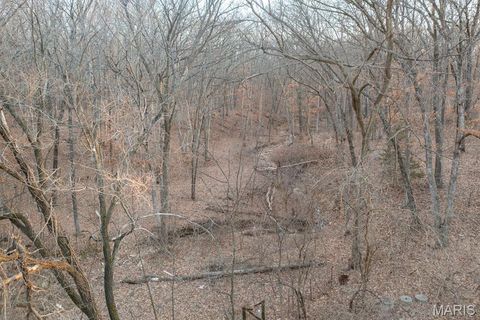 Tiny photo for 6102 Highway K, Troy, MO 63379 (MLS # 26015724)