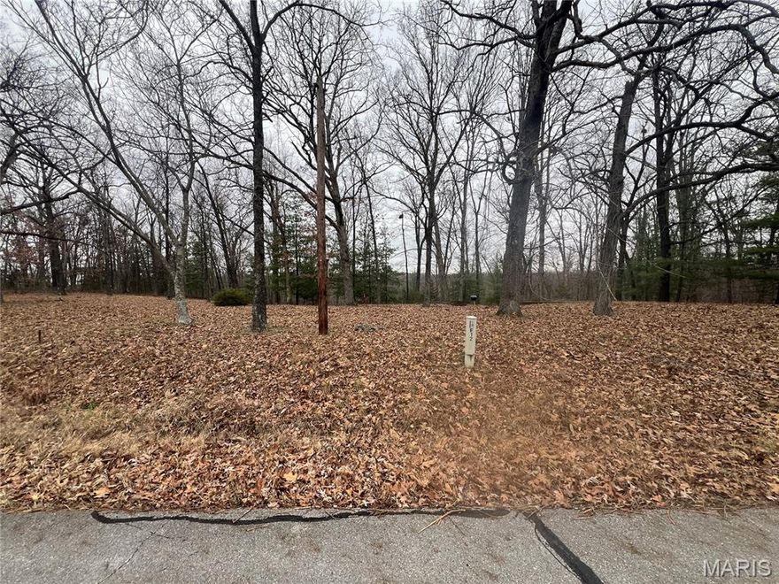 Experience lake living at its best with this versatile lot at Lake Kah Tan Da! Whether you’re looking to camp under the stars ,  build your own weekend retreat, or become a full time resident, this property is ready for you. Located near the secure, gated entrance, it features a generous level area perfect for gatherings, outdoor fun, and evenings by the fire. Water is already connected with a spigot on-site, and the lot previously supported electric service. Enjoy access to community amenities including beautiful lakes, sandy beach, pavilion area, great fishing, swimming areas, trails, ATV paths, jet skiing, and boating options.