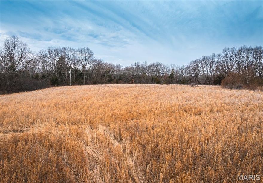 Discover the perfect blend of privacy and convenience with this 20.08± acre property in Steelville, Missouri! Ideally located just minutes from popular river resorts, this versatile tract offers endless possibilities; whether you’re dreaming of building your primary residence, a weekend getaway, or income-producing Airbnbs. The property features a brand-new driveway and entrance, electric already on site with a pole in place, and a well.  A seasonal wet weather creek runs along the back of the property, and you’ll enjoy a beautiful mix of wooded acreage and open ground, offering both privacy and usable space. Outdoor enthusiasts will love the pond and excellent hunting opportunities, making this a true recreational retreat. Situated right off blacktop, you’ll appreciate the easy access while still enjoying a peaceful setting just outside of town, and close to everything Steelville has to offer. If you’ve been searching for the perfect location with utilities in place, and wonderful building potential this is it!