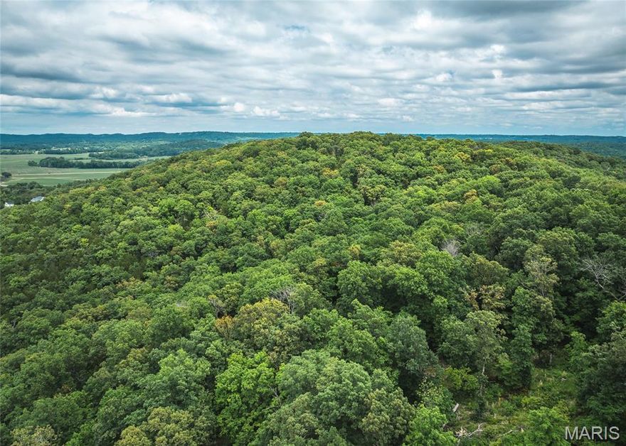 This 10-acre tract in House Springs, MO offers the perfect mix of seclusion and convenience. Nestled at the end of a private trail, the property boasts breathtaking views of the bottomland below and is just minutes from Highway 30—making for a quick and easy commute to St. Louis. A true outdoorsman’s paradise, the land is loaded with whitetail deer and wild turkeys, and is surrounded by larger tracts and landowners, keeping traffic minimal and wildlife plentiful. Whether you're looking to build your dream home, create a private hunting retreat, or simply enjoy a peaceful weekend getaway, this property checks all the boxes. Proof of funds or bank letter to be provided to agent to come take a look today! Multiple 10 acre tracts available or buy the entire 40 acres.