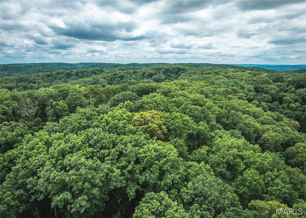 Rivermont Ranch - Land