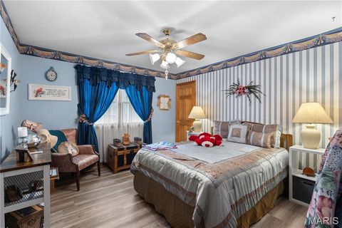 Tiny photo for 213 Lincoln Lane, Winfield, MO 63389 (MLS # 25077124)