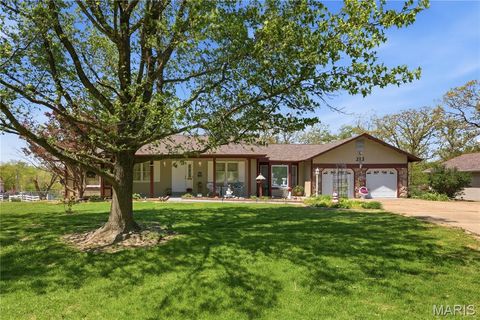 Photo of 213 Lincoln Lane, Winfield, MO 63389 (MLS # 25077124)