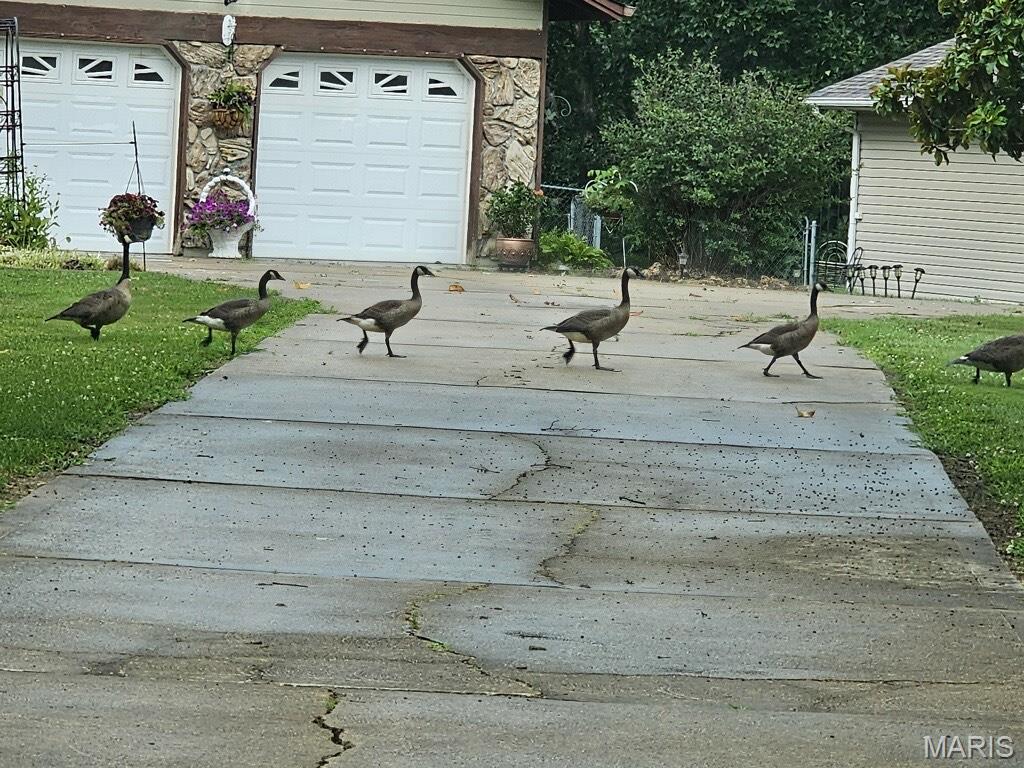 Lincoln Place - Residential
