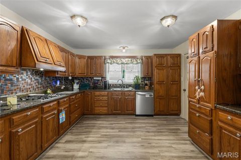 Tiny photo for 213 Lincoln Lane, Winfield, MO 63389 (MLS # 25077124)