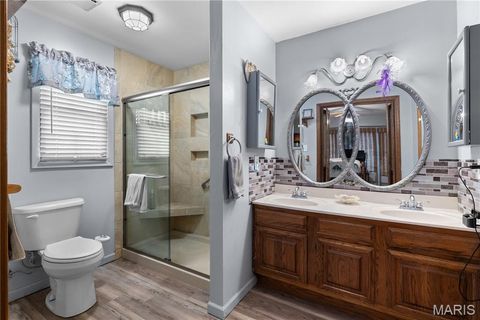 Tiny photo for 213 Lincoln Lane, Winfield, MO 63389 (MLS # 25077124)