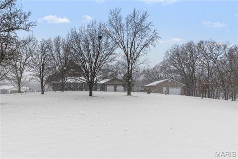 Tiny photo for 213 Lincoln Lane, Winfield, MO 63389 (MLS # 25077124)