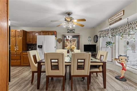 Tiny photo for 213 Lincoln Lane, Winfield, MO 63389 (MLS # 25077124)