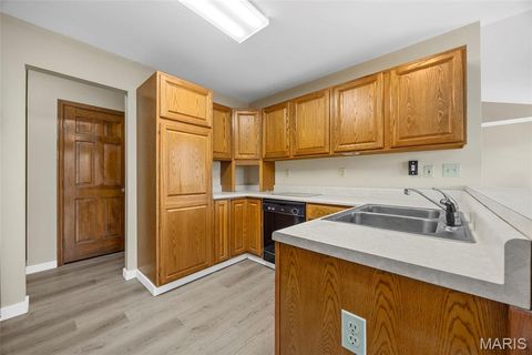 Tiny photo for 3218 S Highway W - LOT 5, Winfield, MO 63389 (MLS # 25065038)