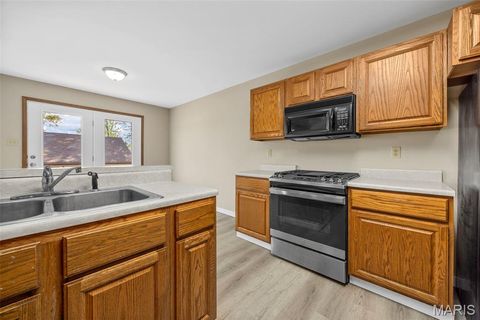 Tiny photo for 3218 S Highway W - LOT 5, Winfield, MO 63389 (MLS # 25065038)