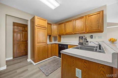 Tiny photo for 3218 S Highway W - LOT 5, Winfield, MO 63389 (MLS # 25065038)