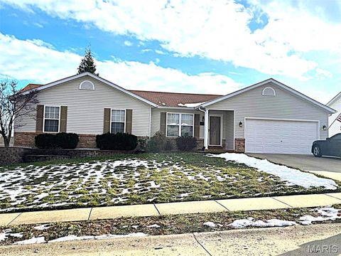 Photo of 100 Robin Hood Drive, Troy, MO 63379 (MLS # 25080269)