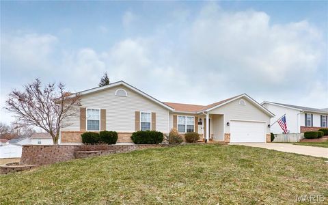100 Robin Hood Drive Troy MO 63379