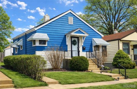 6225 Bradley Avenue St Louis MO 63139