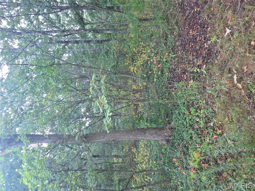 Coaley Sub - Land