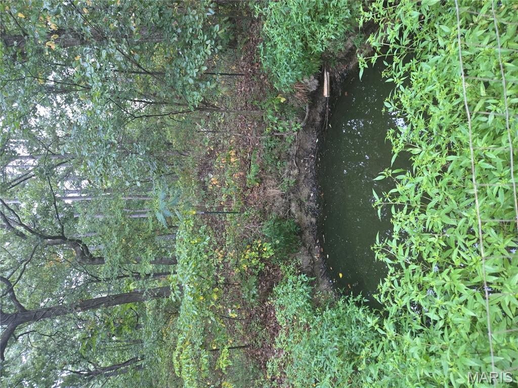 Coaley Sub - Land