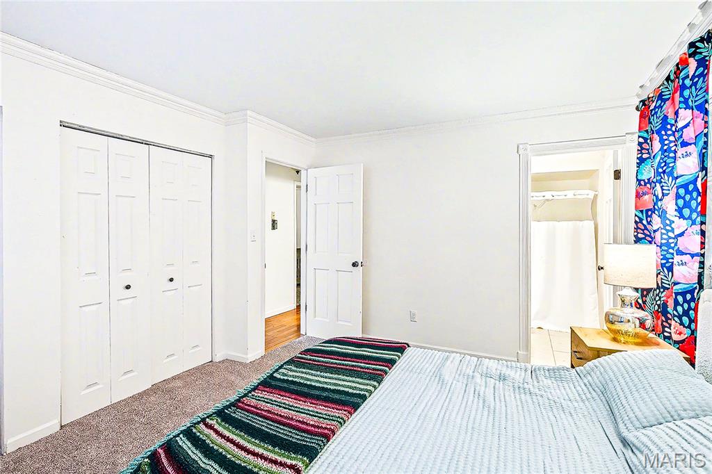 Woodlawn Terrace - Residential