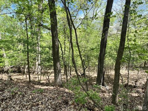 Tiny photo for 1032 Chesterfield Forest, Wildwood, MO 63005 (MLS # 25079135)