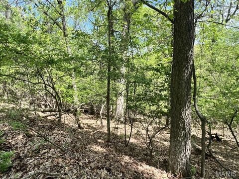 Tiny photo for 1032 Chesterfield Forest, Wildwood, MO 63005 (MLS # 25079135)