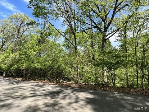 Tiny photo for 1032 Chesterfield Forest, Wildwood, MO 63005 (MLS # 25079135)