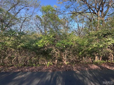 Tiny photo for 1032 Chesterfield Forest, Wildwood, MO 63005 (MLS # 25079135)