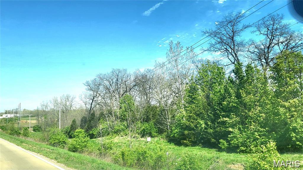 Whitcomb Woods - Land