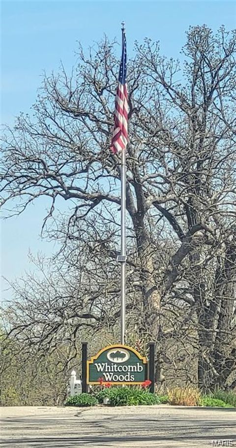 Tiny photo for 810 Whitcomb Woods Drive, Troy, MO 63379 (MLS # 26021642)