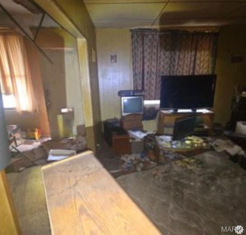 Tiny photo for 7054 Julian Avenue, University City, MO 63130 (MLS # 26022679)