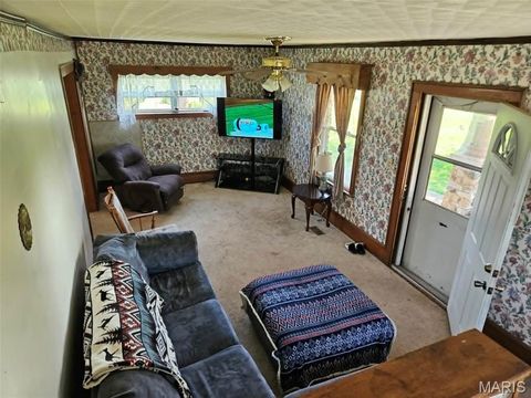 Tiny photo for 6195 County Road 229, Monroe City, MO 63456 (MLS # 26030474)