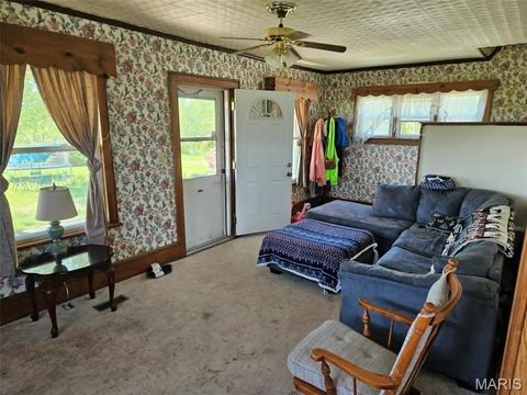 Tiny photo for 6195 County Road 229, Monroe City, MO 63456 (MLS # 26030474)