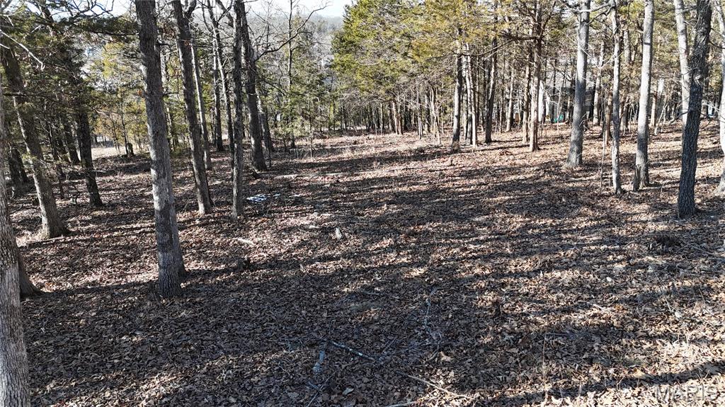 Raintree Plantation - Land