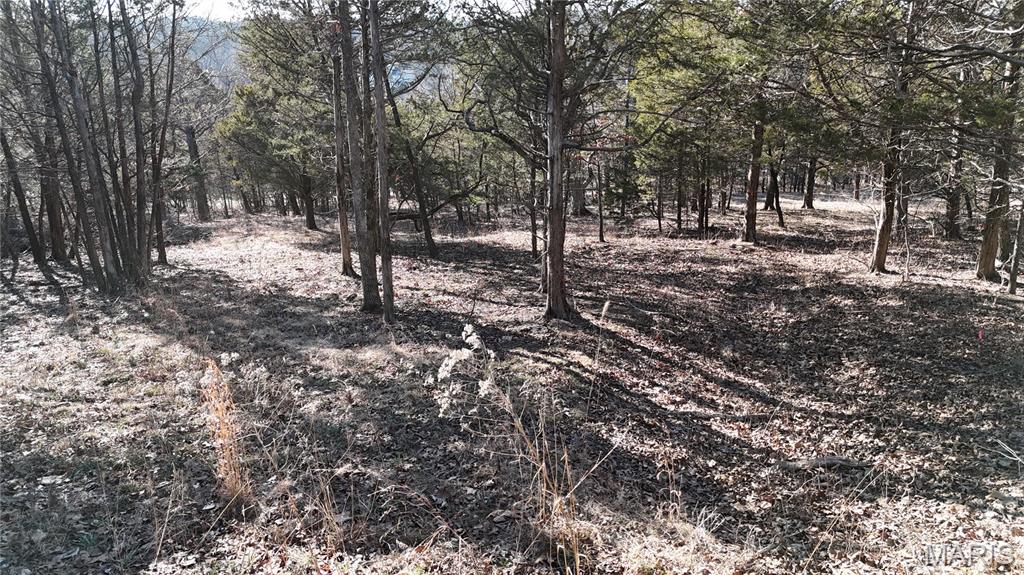 Raintree Plantation - Land