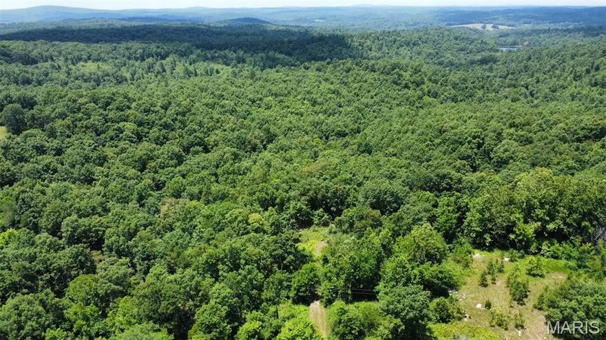 Nestled just off Madison 247, a 3-acre parcel offers panoramic views that stretch for miles — including a breathtaking view of the mountains to the west of Fredericktown. Whether you’re looking to build your dream home, set up a private getaway, or invest in a quiet country escape, this location is ideal. No known restrictions, and utilities nearby make it a rare find with both convenience and seclusion. Come take in the sunsets and start dreaming big!