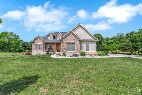 3 Davinci Court Moscow Mills MO 63362