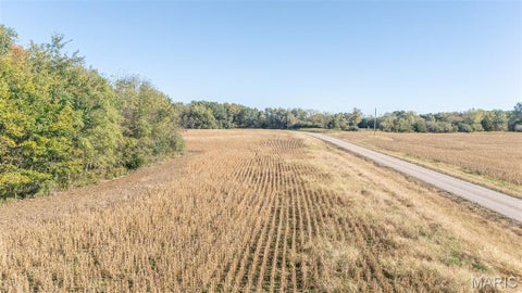 Tiny photo for 00 Brush Creek, New London, MO 63459 (MLS # 26067512)