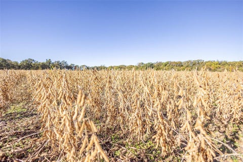 Tiny photo for 00 Brush Creek, New London, MO 63459 (MLS # 26067512)