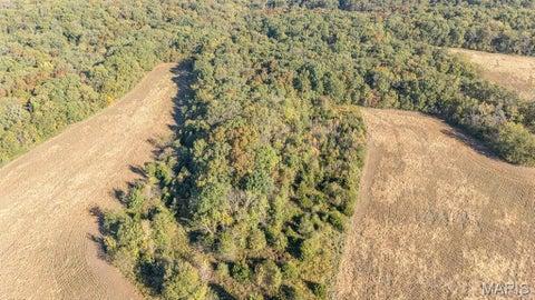Tiny photo for 00 Brush Creek, New London, MO 63459 (MLS # 26067512)
