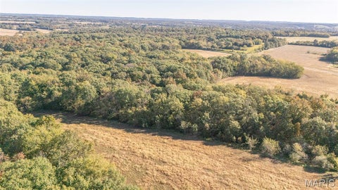 Tiny photo for 00 Brush Creek, New London, MO 63459 (MLS # 26067512)
