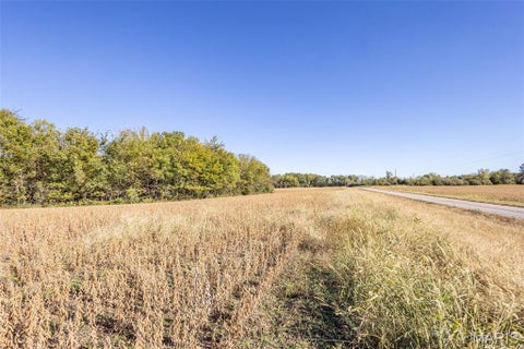 Tiny photo for 00 Brush Creek, New London, MO 63459 (MLS # 26067512)