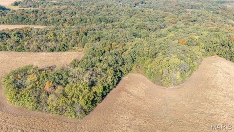 Tiny photo for 00 Brush Creek, New London, MO 63459 (MLS # 26067512)